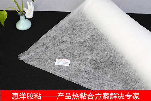 熱熔膠網(wǎng)膜廠(chǎng)家